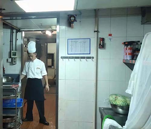 工業(yè)級可燃氣體探測器