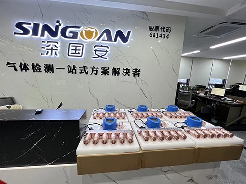 固定式氦氣檢測(cè)儀生產(chǎn)廠家